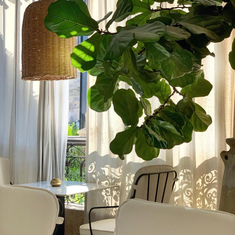 Sakkan Marrakesh Exteriör bild